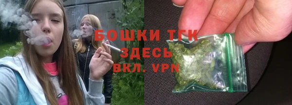 индика Верхнеуральск