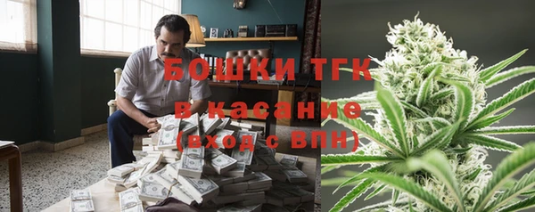 индика Верхнеуральск