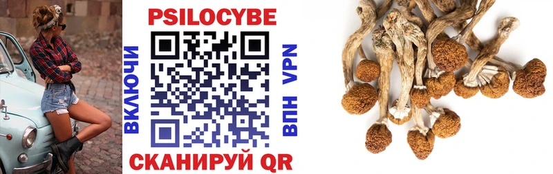 Псилоцибиновые грибы прущие грибы  где купить наркотик  МЕГА зеркало  Жуковский 